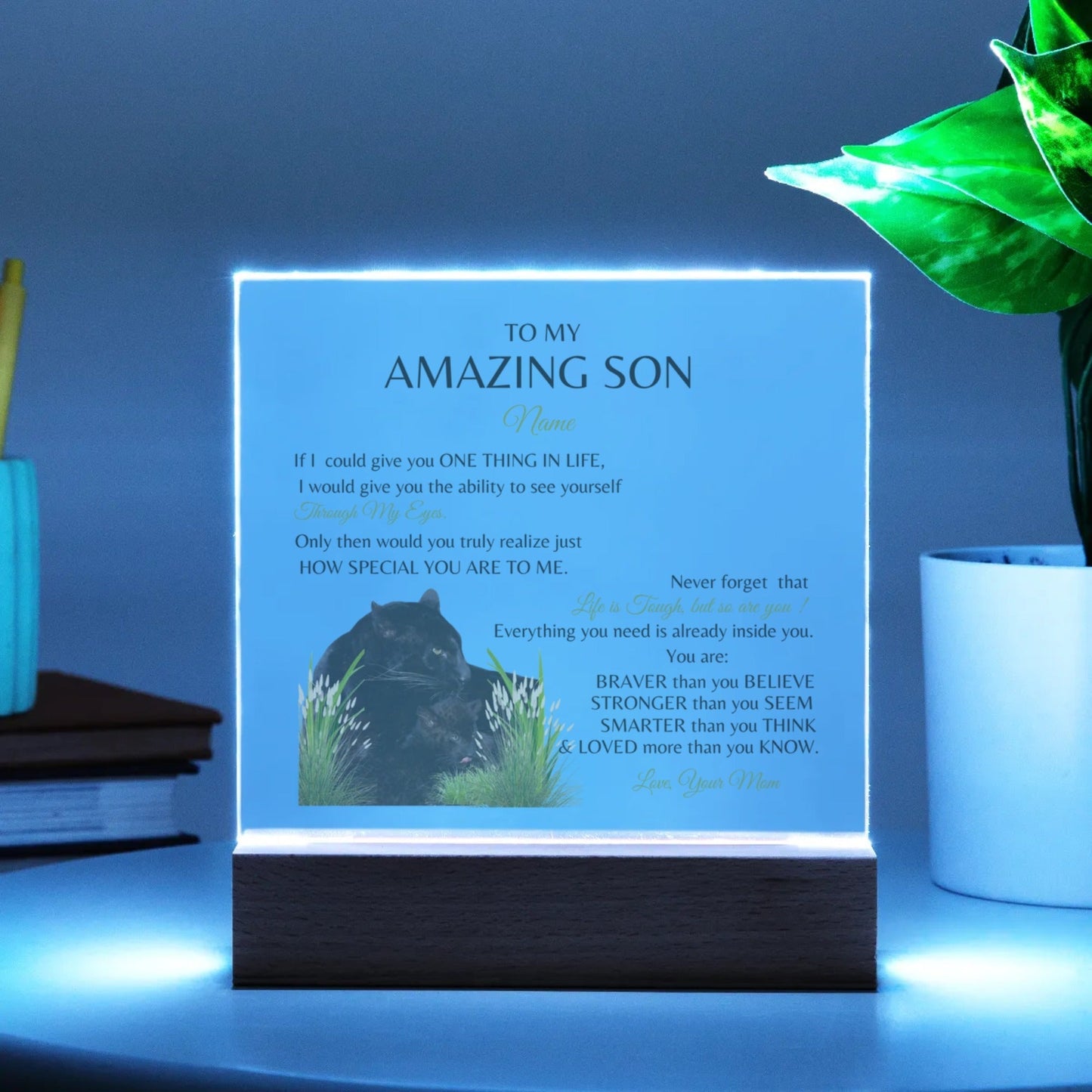 "To My Amazing Son, Love, Your Mom." Panther Mom and Her Cub-Acrylic Square Plaque. He cried when he read this!