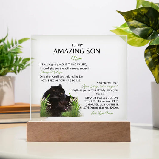 "To My Amazing Son-Love Your Mom" Acrylic Square Plaque.  He cried when he read this!